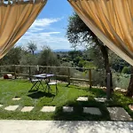 Oliveta Del Verde Appartamento Con Grande Giardino 500Mt Dal Centro